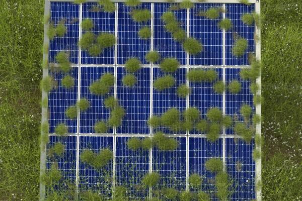 De stilte van een golfbaan versus het gezoem van een zonnepark