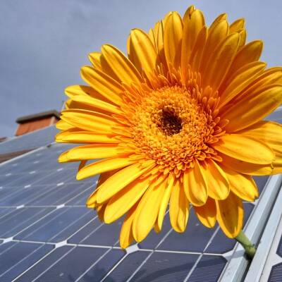 Ondernemende boer maakt meer rendement met zonnepark